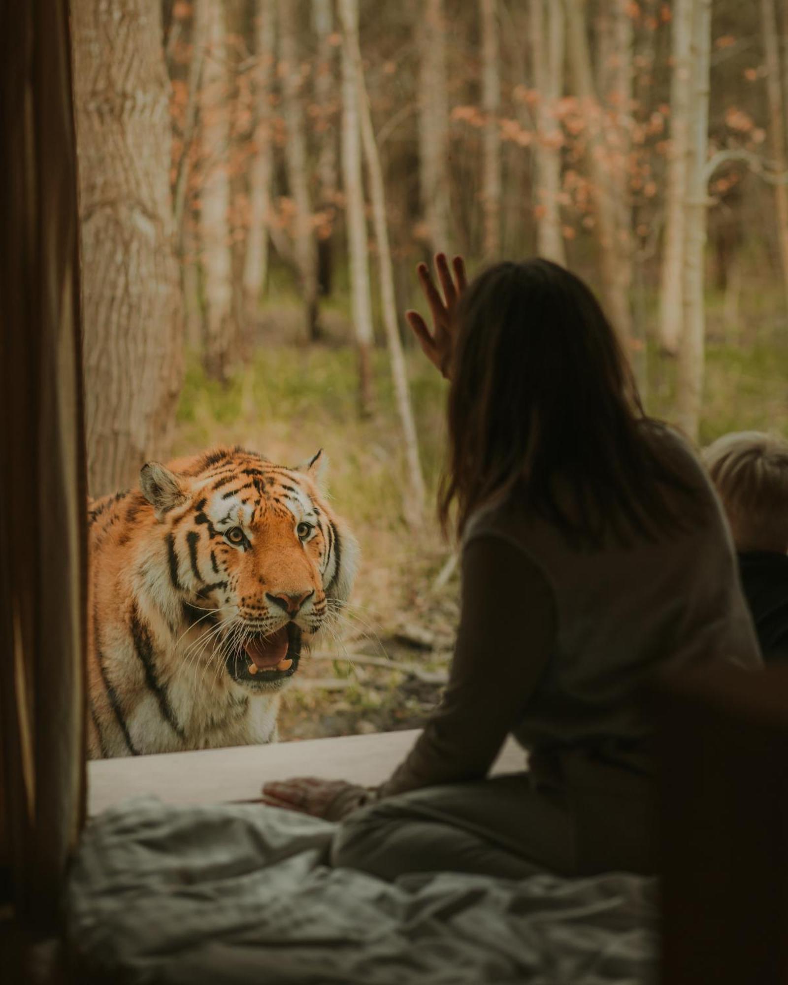 Knuthenborg Safaripark Otel Maribo Dış mekan fotoğraf