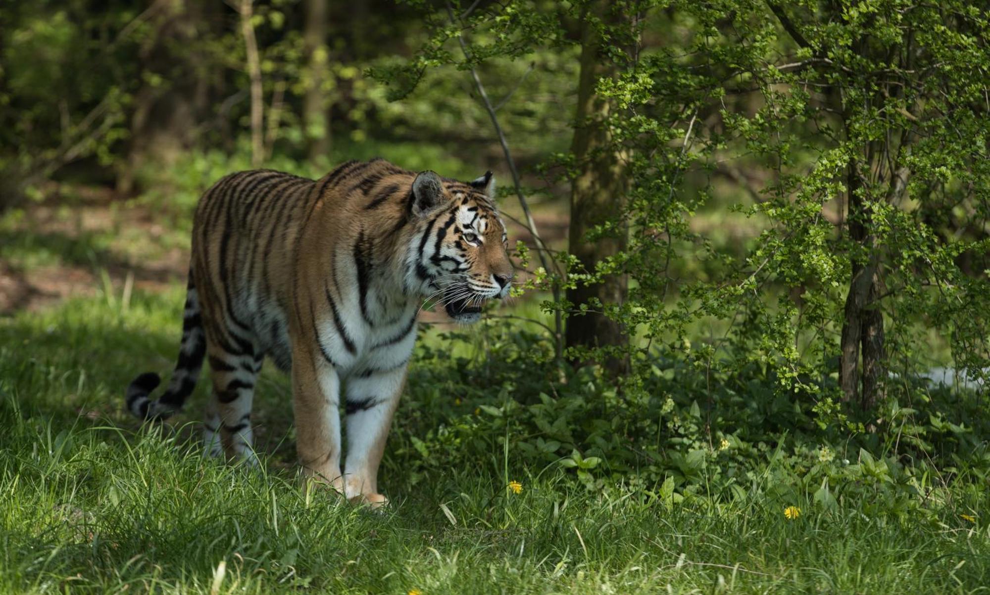 Knuthenborg Safaripark Otel Maribo Dış mekan fotoğraf
