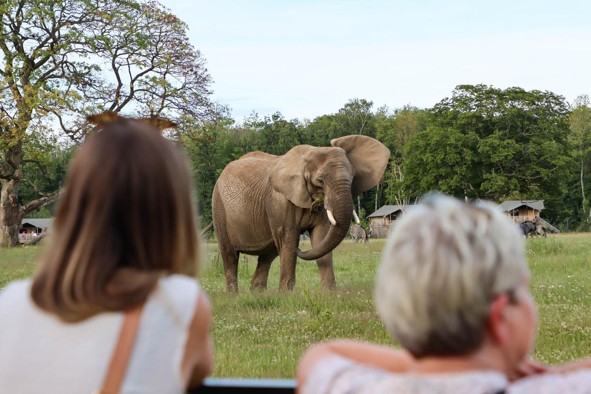 Knuthenborg Safaripark Otel Maribo Dış mekan fotoğraf