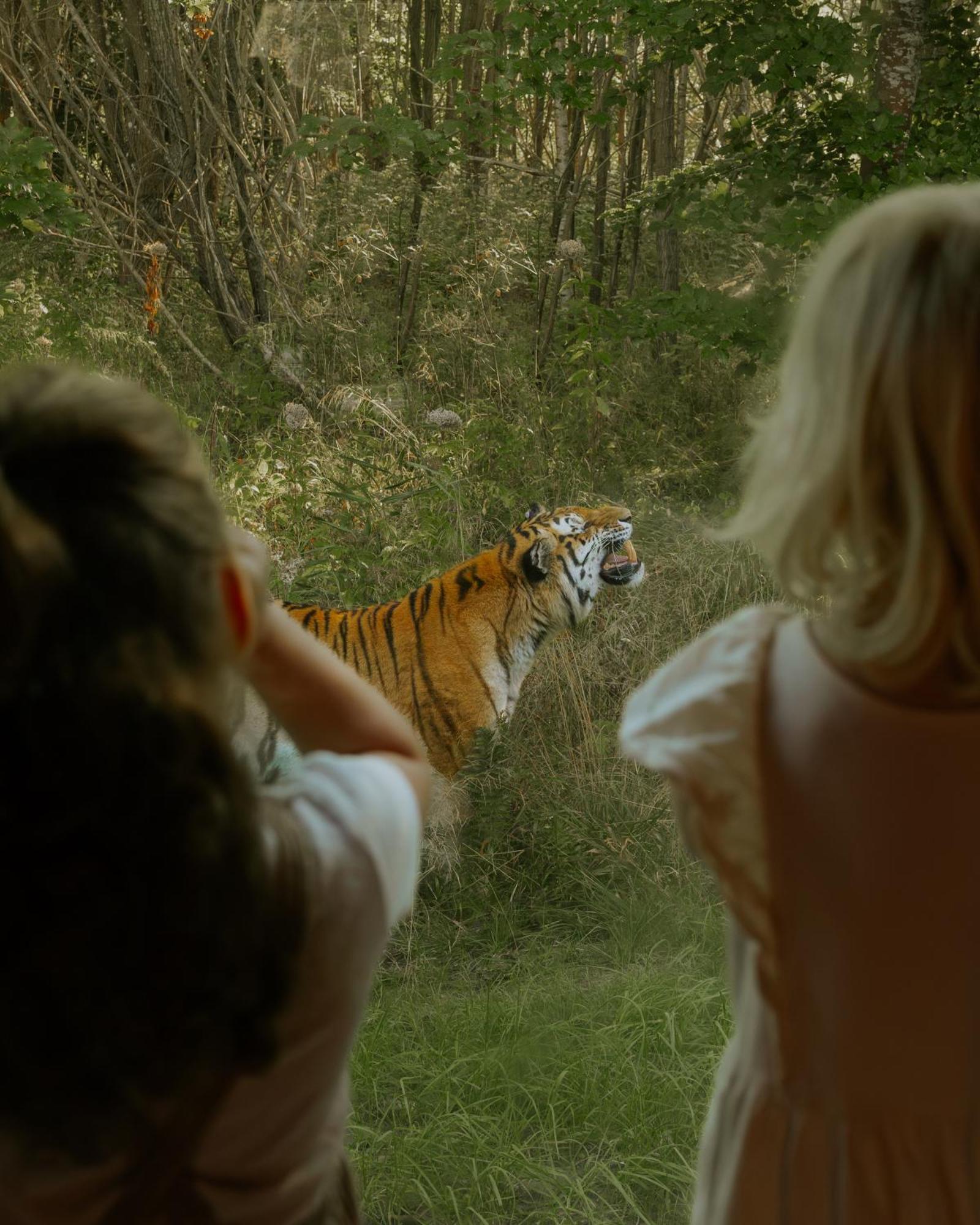 Knuthenborg Safaripark Otel Maribo Dış mekan fotoğraf