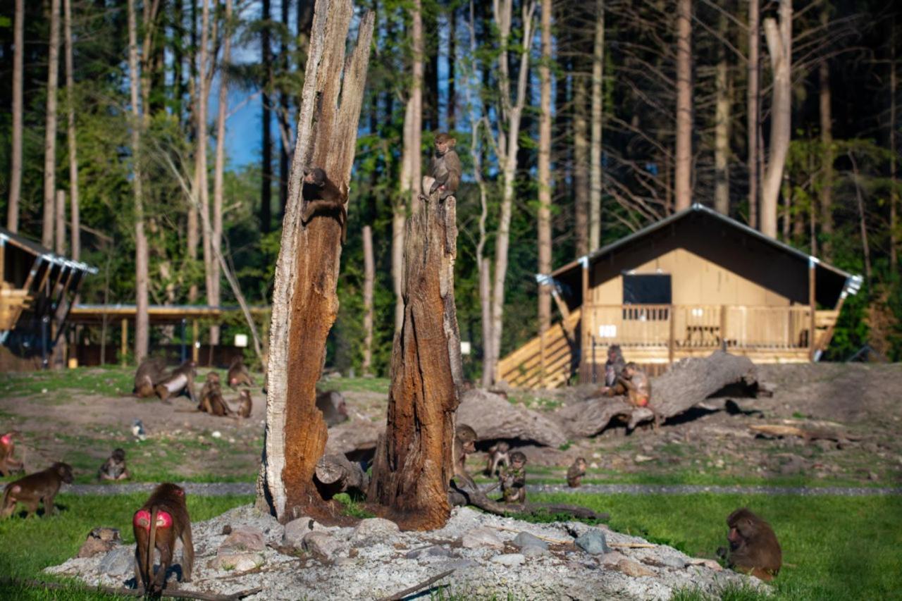 Knuthenborg Safaripark Otel Maribo Dış mekan fotoğraf