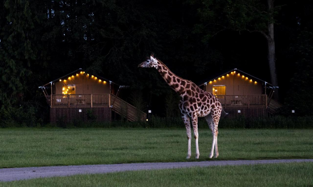 Knuthenborg Safaripark Otel Maribo Dış mekan fotoğraf
