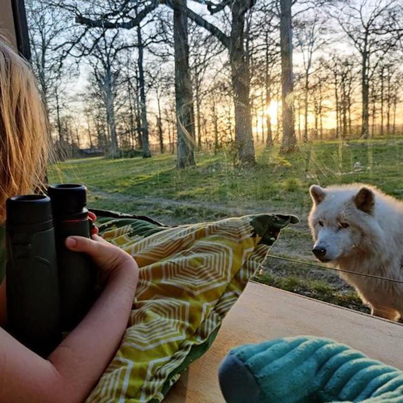 Knuthenborg Safaripark Otel Maribo Dış mekan fotoğraf