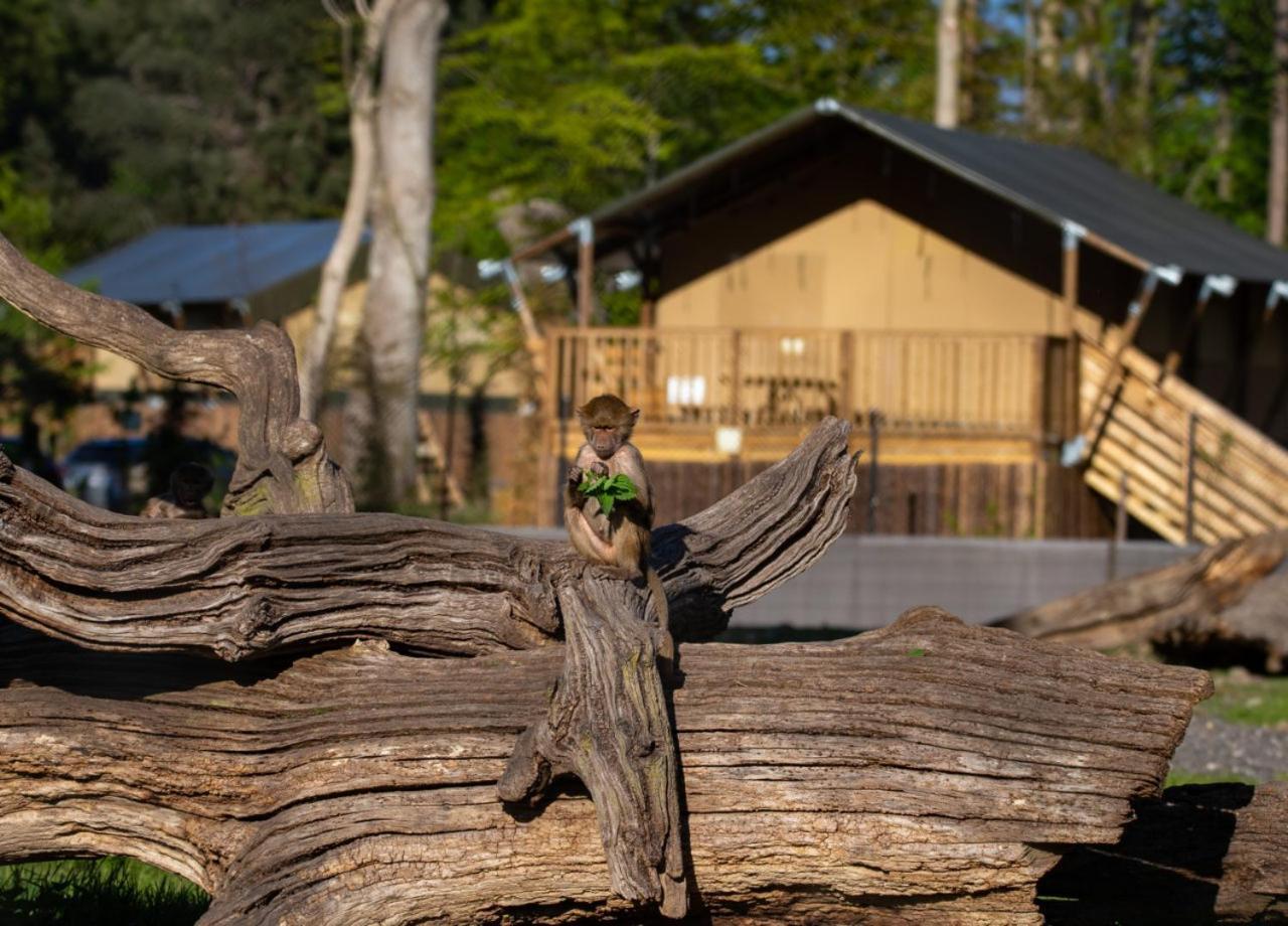 Knuthenborg Safaripark Otel Maribo Dış mekan fotoğraf