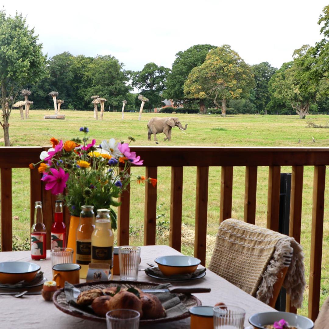 Knuthenborg Safaripark Otel Maribo Dış mekan fotoğraf