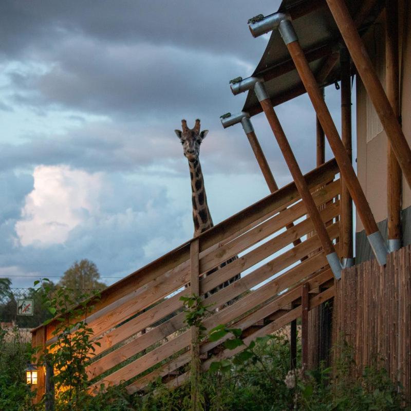 Knuthenborg Safaripark Otel Maribo Dış mekan fotoğraf